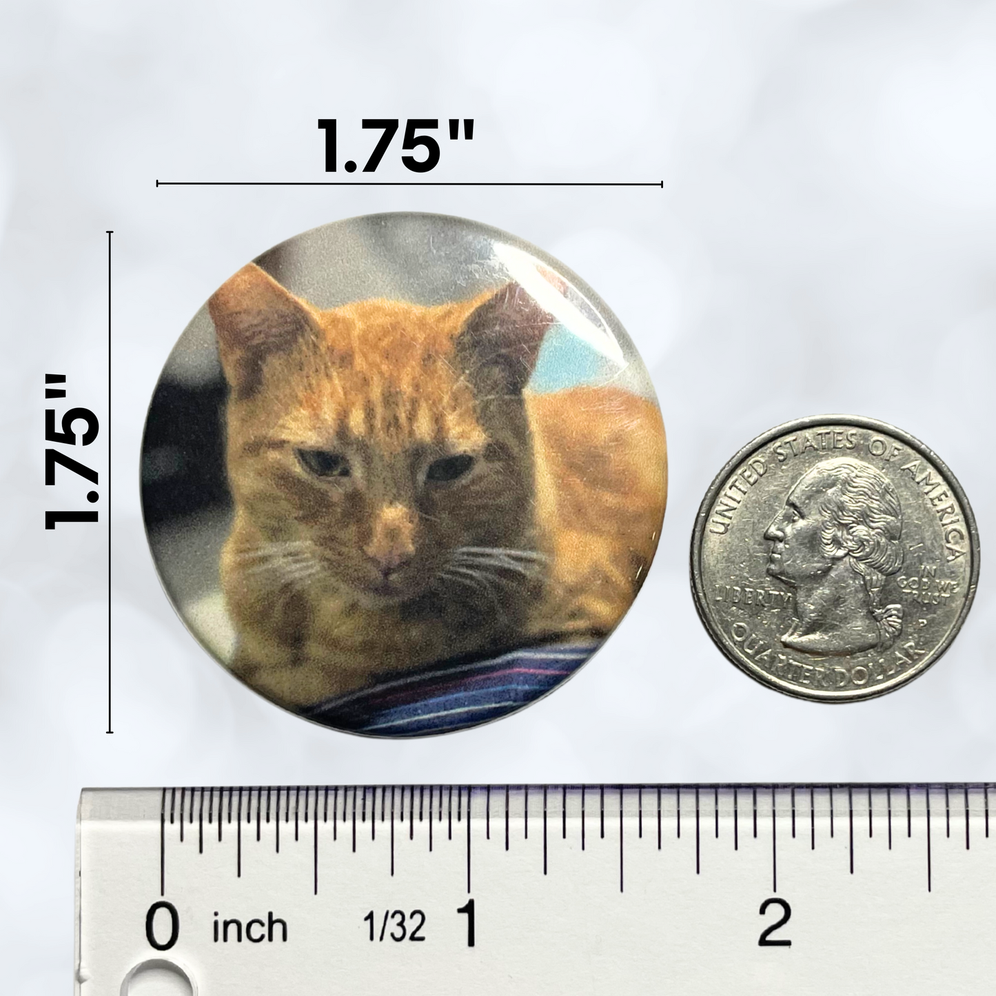 1.75" Round Custom Photo Fridge Magnets – Personalized Picture Magnet Set (9 or 12 Pack)